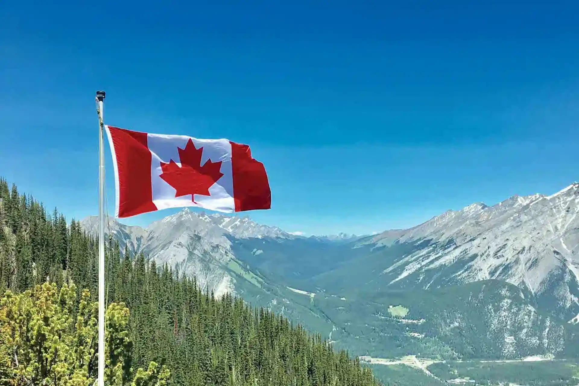 Canadian flag mountains trees